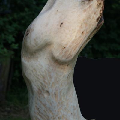 06 Gabim Birne